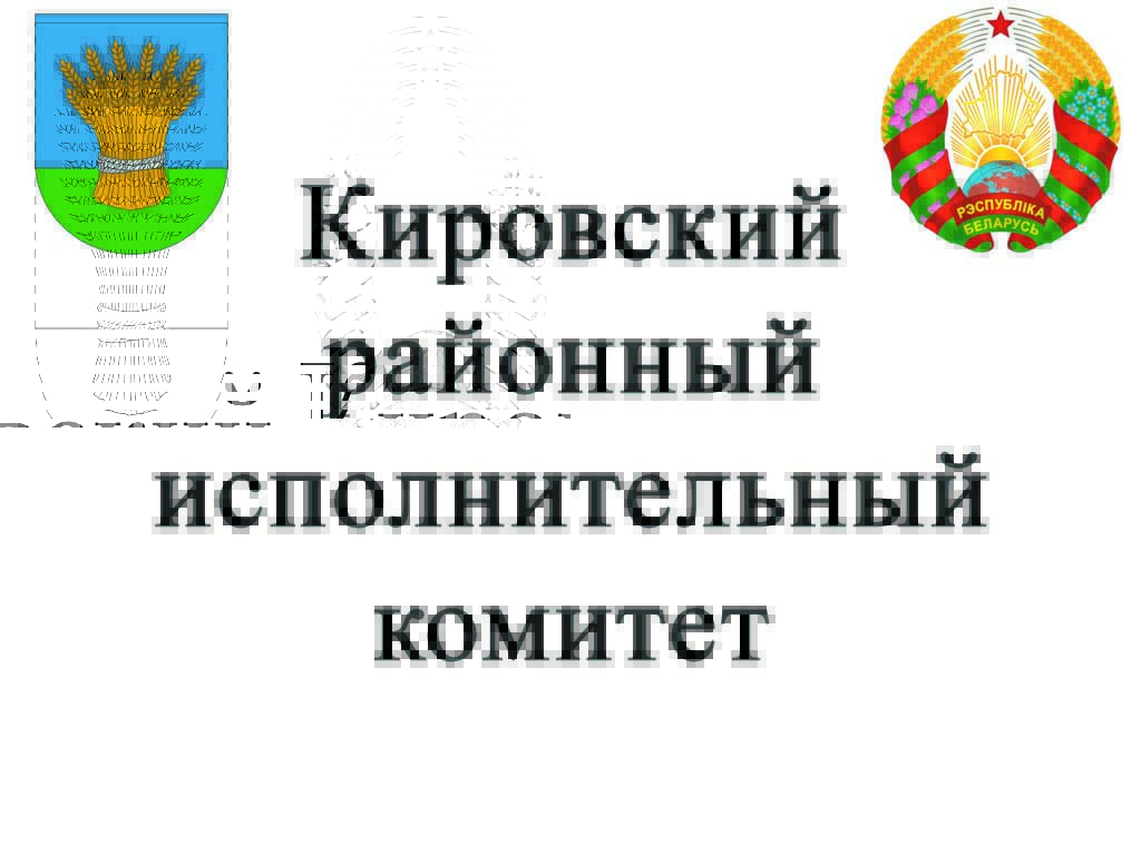 Кировский районный исполнительный комитет